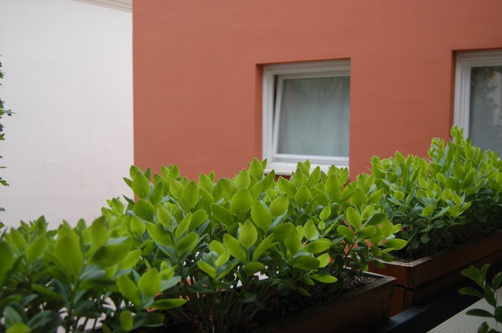 בודפשט Buda Castle Apartments חדר תמונה