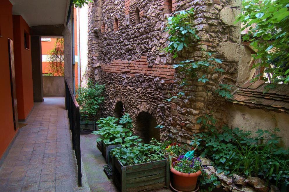 בודפשט Buda Castle Apartments מראה חיצוני תמונה